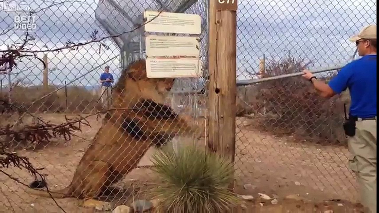 Нужно теперь штаны поменять)))