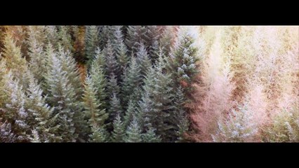 New Land Rover Discovery prototype drives on the Blair Atholl Estate