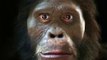 Эволюция человека за 6 000 000 лет.Наглядная эволюция от обезьяны к человеку