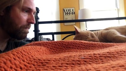 Réveillé par son chat tous les matins, son maître décide de prendre sa revanche!