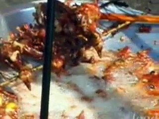 Anthony Bourdain A Cooks Tour - S01E03 - Cobra Heart, Food That Makes You Manly