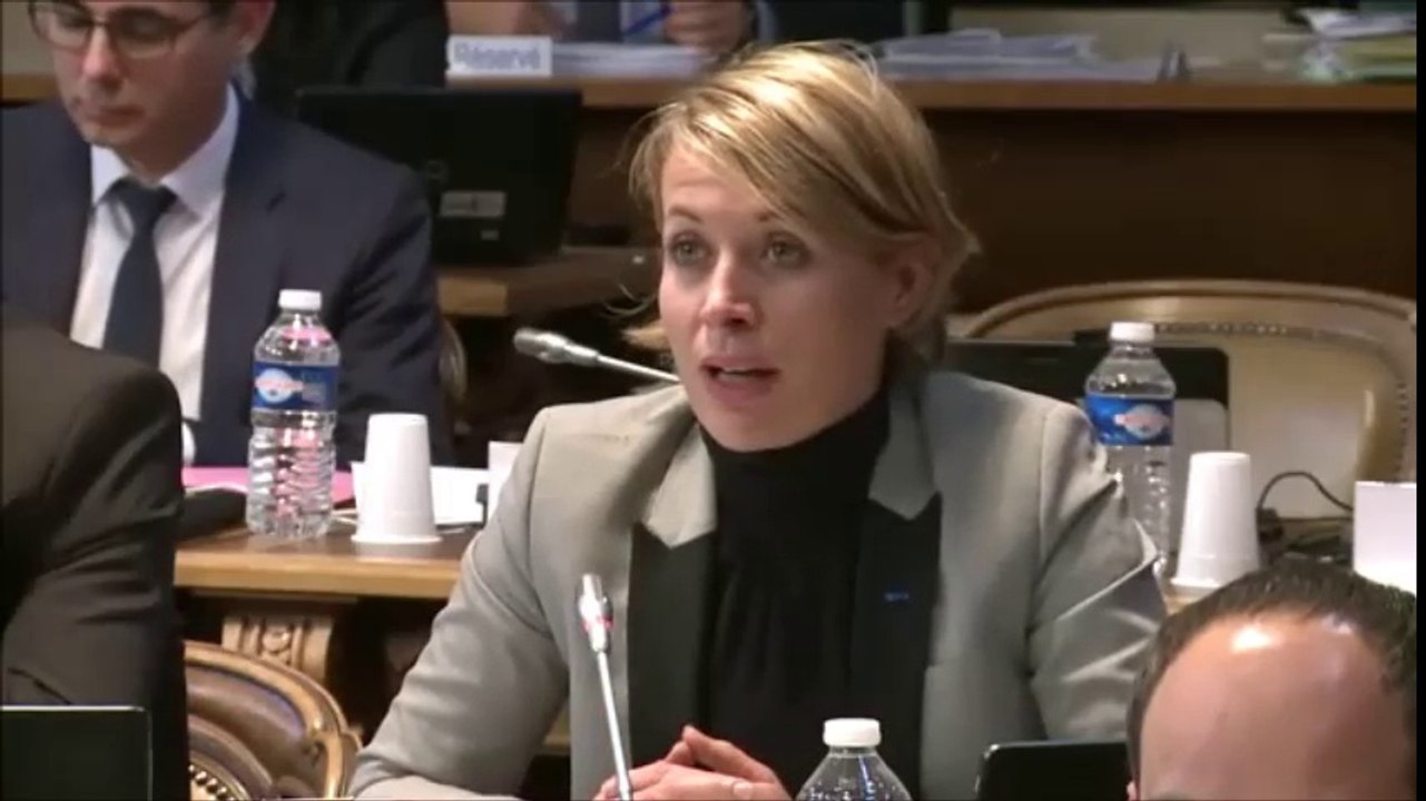 Nathalie KOENDERS. Interventions du département dans le domaine culturel. Session de décembre 2016