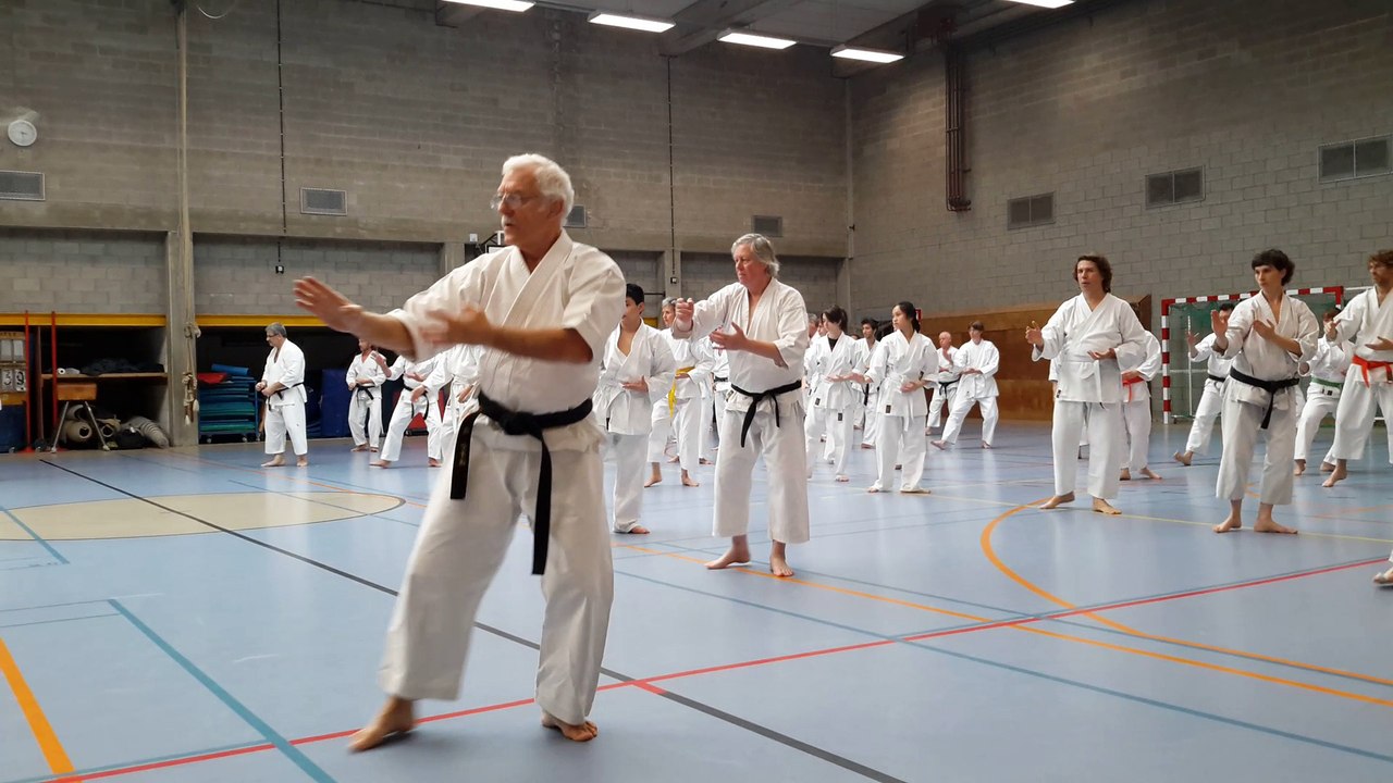 Kata : Heian Yodan