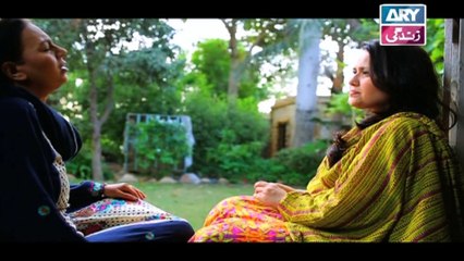 Khushaal Susraal Ep 135 - on Ary Zindagi in High Quality 13th December 2016