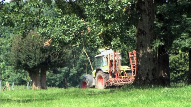 Dans l’Avesnois, le pré-verger n’a pas dit son dernier mot