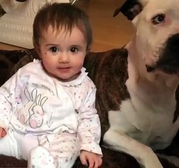 After bad start in life, dog just wants to be loved