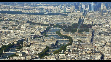 M6 s'intéressera aux animaux qui peuplent Paris dans un documentaire diffusé le dimanche 1er janvier en prime