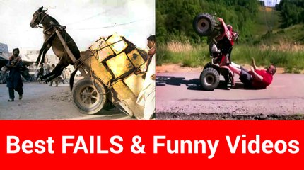 Best FAILS  Funny Videos | funny moments | funny accidents