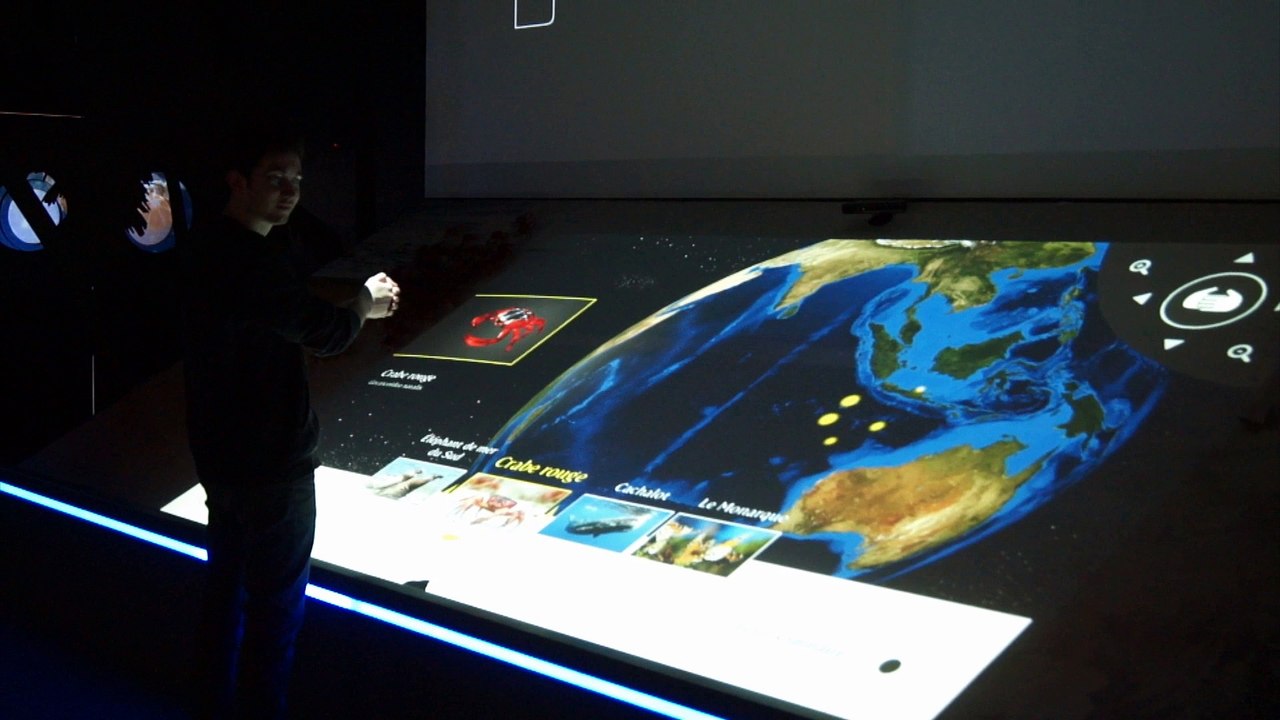 Cité des oiseaux - dispositif 3d utilisant la Kinect