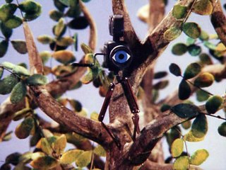 AB OVO - это значит ОТ ЯЙЦА