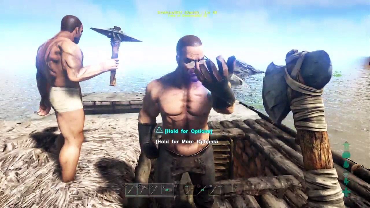 Ark (20)