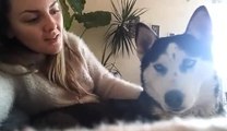 Talented singer preciously serenades her husky