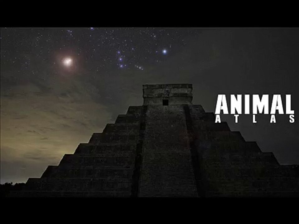 ANIMAL - Atlas
