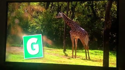 Animal Atlas Animal ABC s Alphabet Song