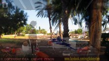 zenon ..secret project