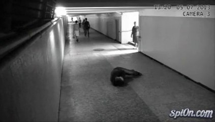 Boxeur VS Voleurs : il met KO deux hommes avec deux coups de poing