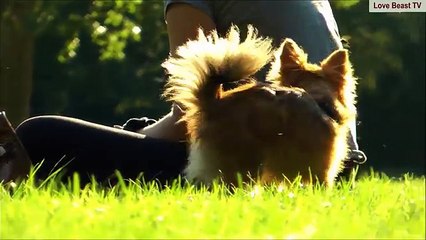 A GIRL and her DOG (18+) - Una niña y su perro - पशु प्रेम - الحب الحيوان