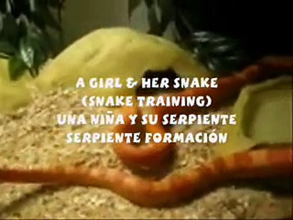 a girl and her snake ~ girl plays with snake ~ una niña y su serpiente - serpiente formación