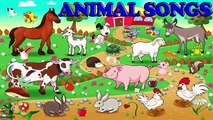 Animal Songs & Sounds for Children - Popular Animal Rhymes – Nursery Rhymes Songs