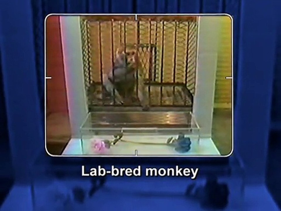 Science Frontiers - Scare Me