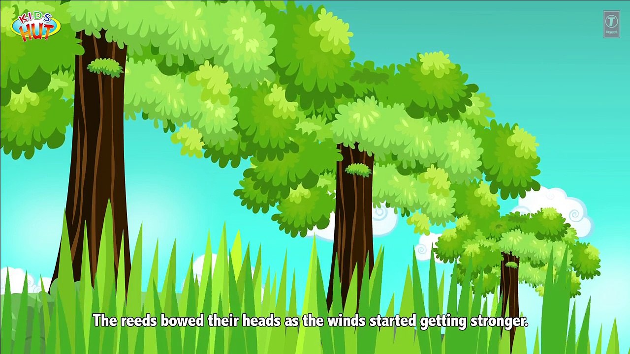 The Oak Tree and The Reeds Story | Moral Story For Kids | Kids Hut - 動画 ...