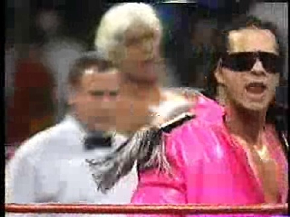 Bret Hart vs Ric Flair WWF before 1992 Royal Rumble