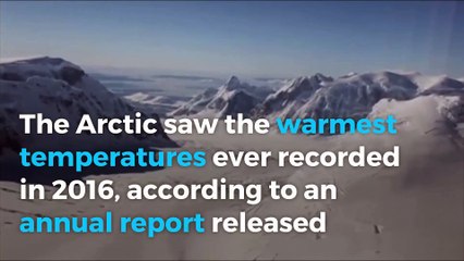 The Arctic just had its warmest year on record ‘by far,’ scientists report