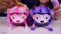 NEW Zoomer Hedgiez Dizzy Whirl Toy Opening Hedgiez Race Challenges Kids Toy Review