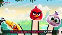 The Angry Birds Movie 2016 Finger Family | BingBing TV - Nursery Rhymes For Children