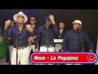 Nexo Lmp Live Session- La Pegajosa