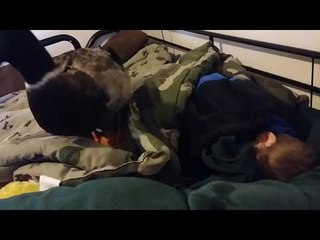Protective Duck Stands Guard Over Sleeping Boy