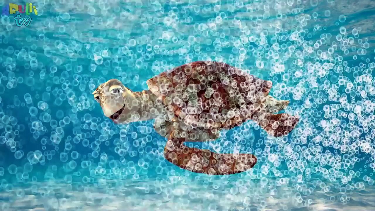ABC Learning for children | Learn english online | Learn Sea Animals Water Animals Names