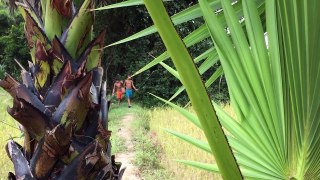 Amazing Children Catch Snake Using Bare Hand | Children Find Snake in Cambodia