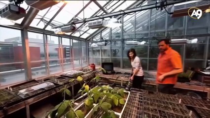 The way the soil quivers and swells