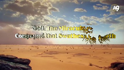 Soil: The miraculous compound that swathes the Earth