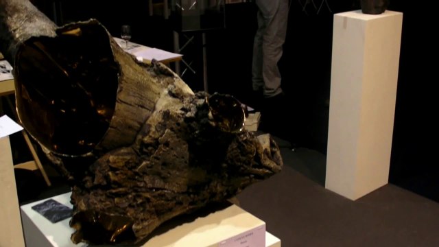 Romain Langlois - Bouleau