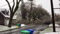 Un orage éclate un arbre en plusieurs morceaux qui tombent sur une maison