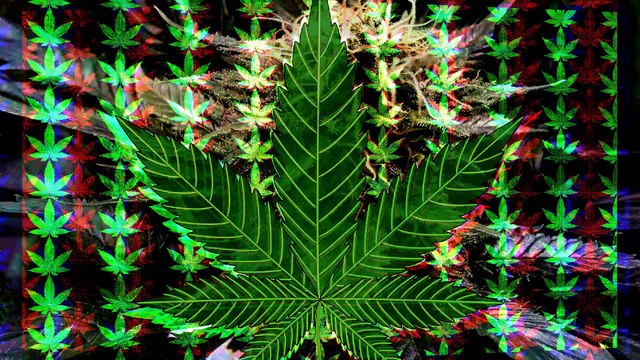 FREE Glitch Weed Cannabis Art Visual VJ Clip Royalty Free Public Domain