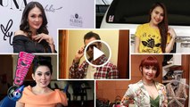 Catatan Cumi 2016: 5 Artis Indonesia Terkaya