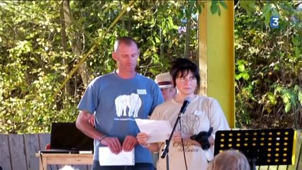 La France va ouvrir le premier sanctuaires pour éléphants en Europe