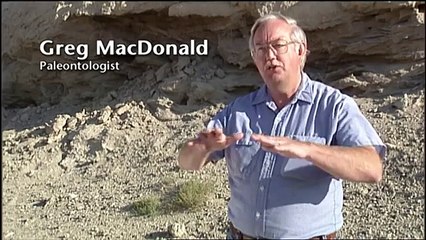 North America's Wild Horses