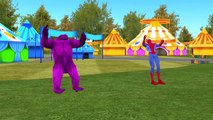 Spiderman Vs Crazy Gorilla Fighting Compilation | Finger Family Nursery Rhymes | 3D Animated
