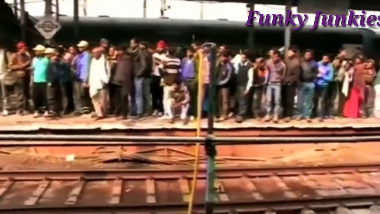 Funky Junkies   More than just animal