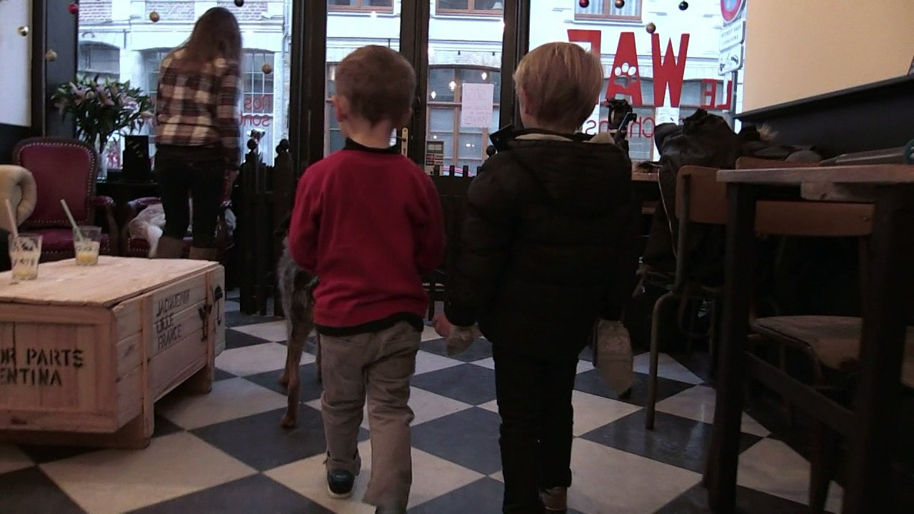 Knuffige Wuffis im 'Waf': Europas erste Hundebar