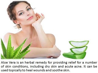 Aloe Vera Benefits for Skin