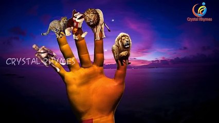 Finger Family 3d Rhymes | Animals Hunting humans | Rhymes collection