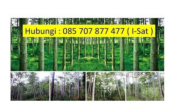 I-SAT 085 707 877 477 - Tujuan Go Green,Tujuan Go Green di Indonesia