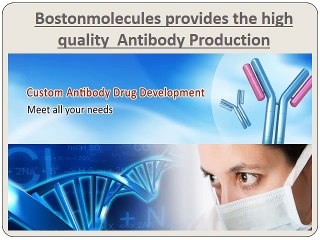 Bostonmolecules provides the high quality custom Antibody Production and Antibody Service