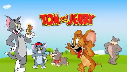 Tom and jerry VS Sesame Street Finger Family l Nursery Rhymes l Children Song