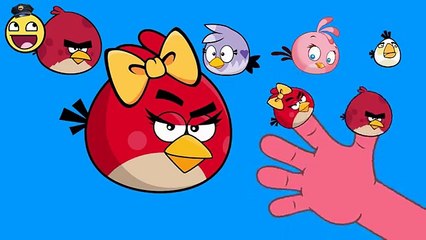 Nursery Rhymes Video | Angry Birds Finger Family Song for Baby | Dance Songs for Children